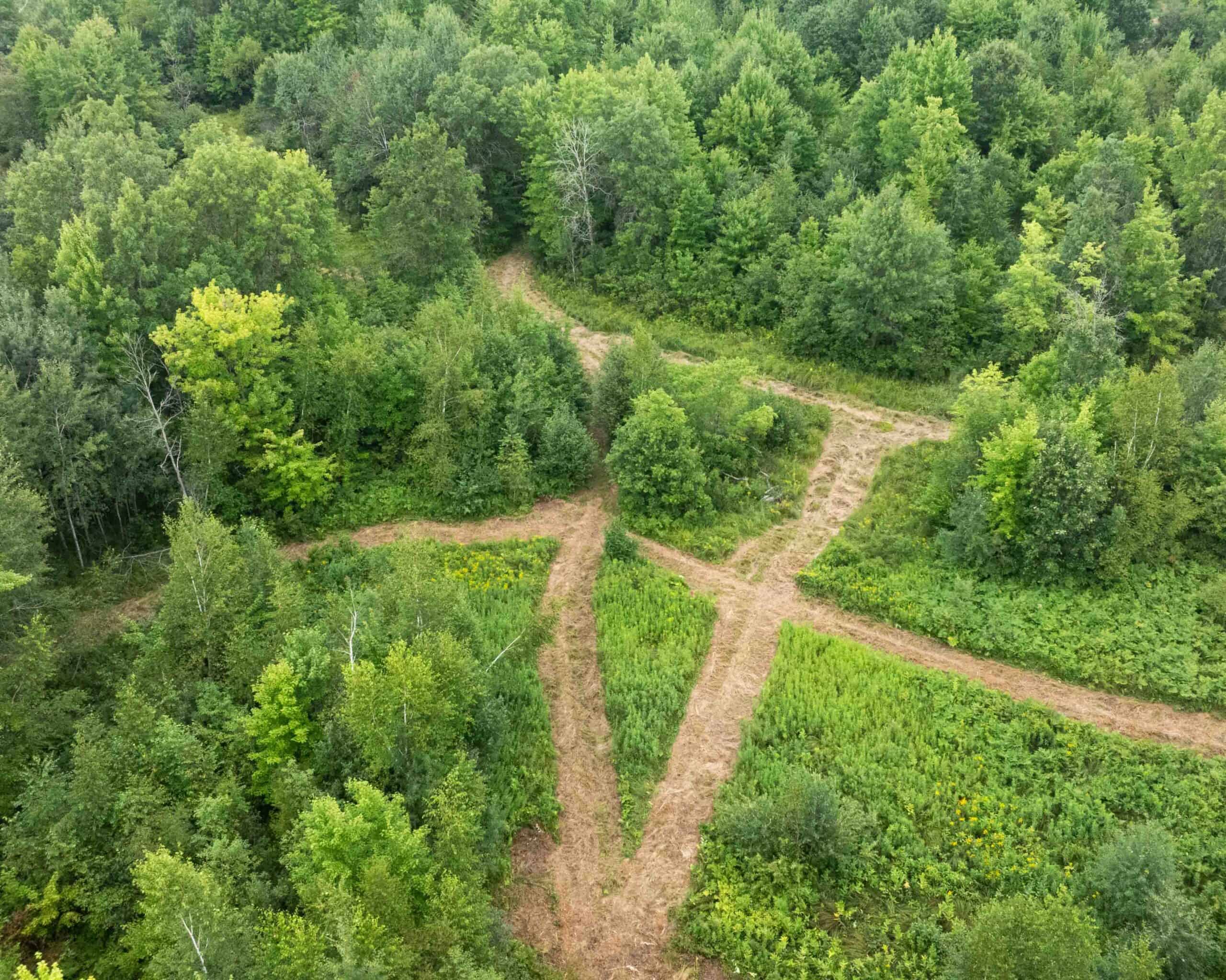 Juneau County WI 80 Acre Camp For Sale