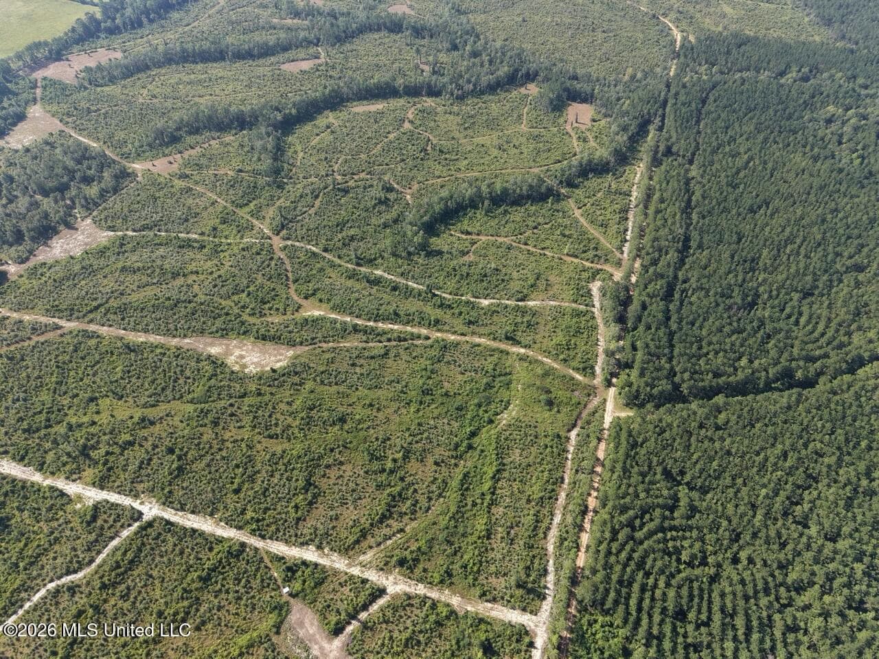 50± Acre Homesite & Hunting Land in Plainview, LA