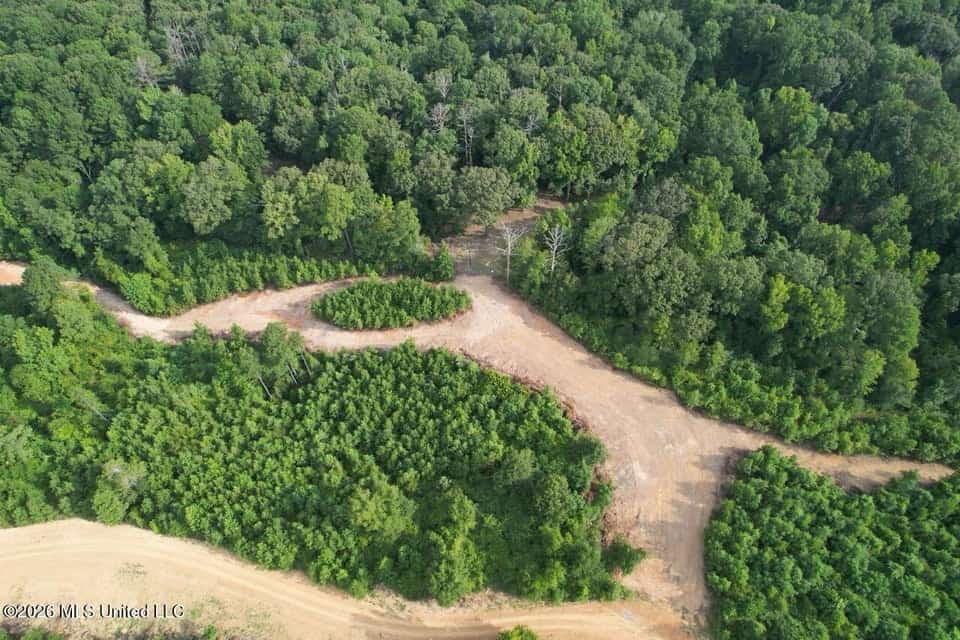 90± Acre Hunting Tract for Sale in Meadville, MS