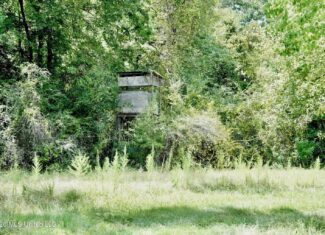 150 Acres for Sale in Magnolia MS on Tangipahoa River
