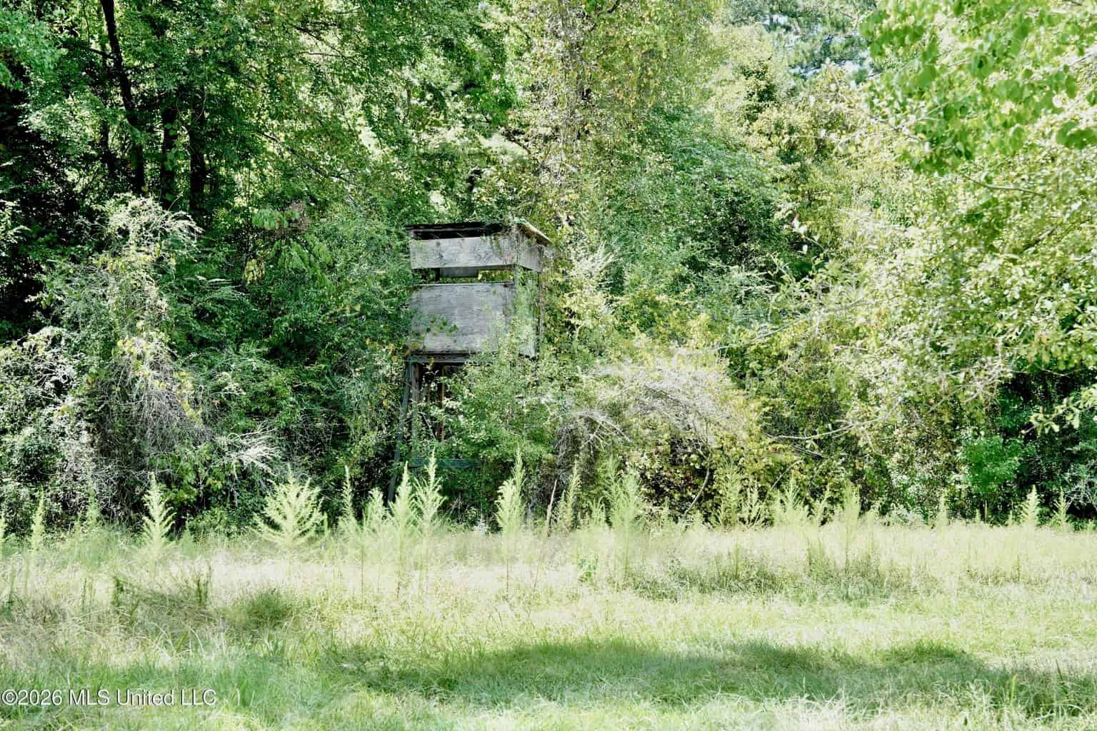 150 Acres for Sale in Magnolia MS on Tangipahoa River