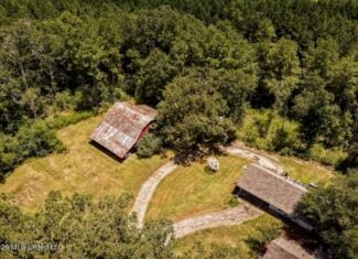 20 Acres for Sale Magnolia MS with Barn & Mature Timber