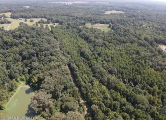 81-Acre Timber Property on 20-Acre Lake in Vaughan, MS
