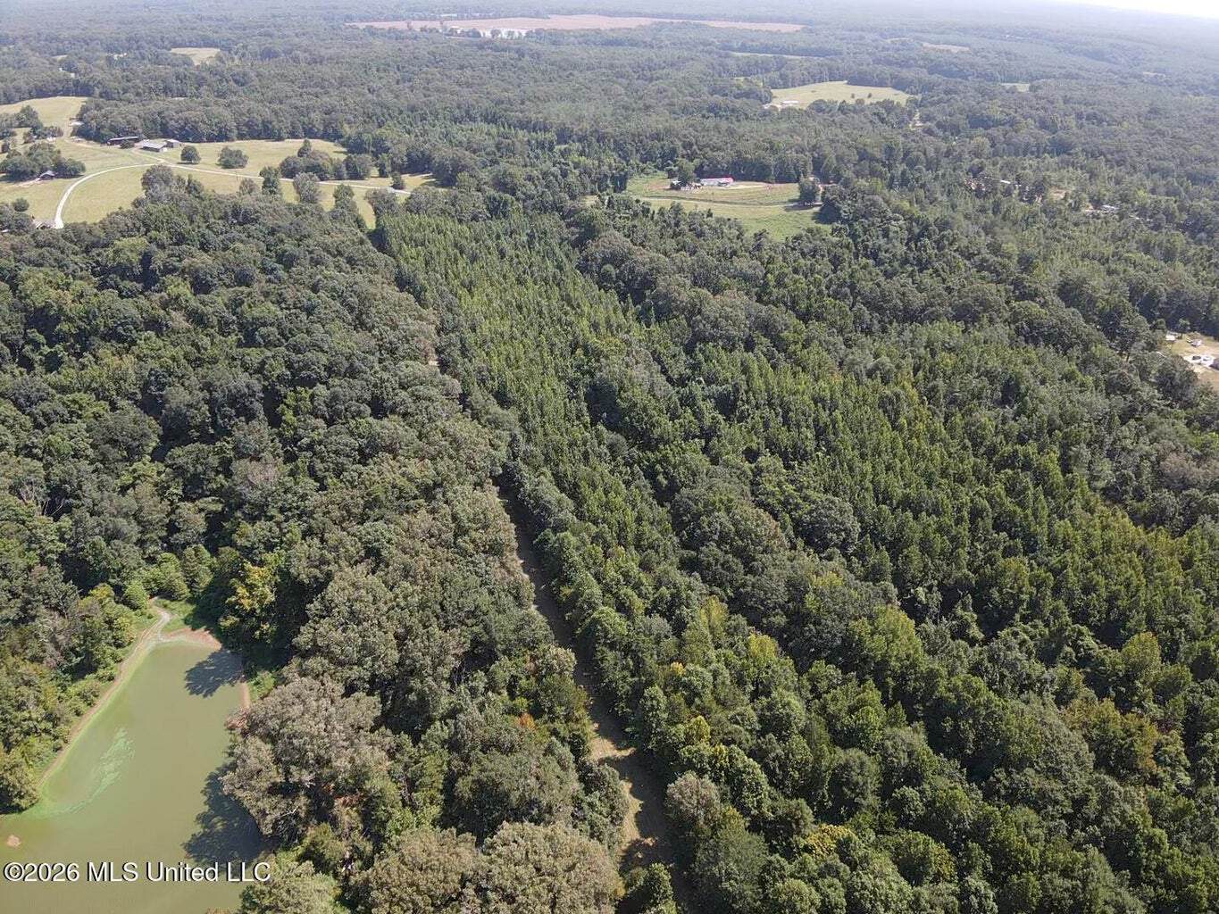81-Acre Timber Property on 20-Acre Lake in Vaughan, MS