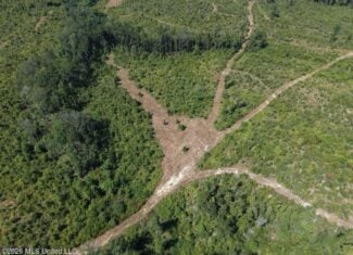 42± Acre Homesite & Hunting Land in Plainview, LA