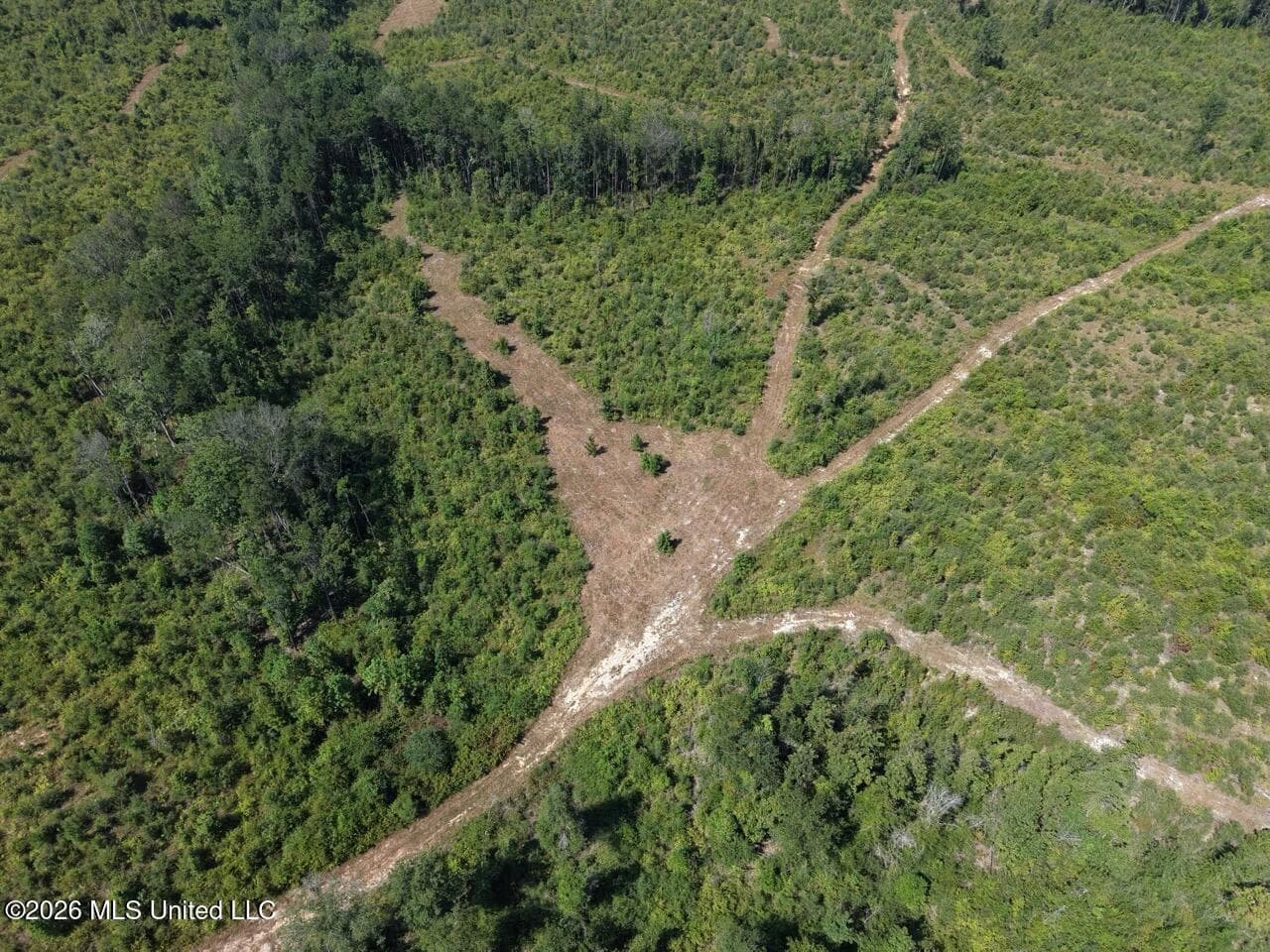 42± Acre Homesite & Hunting Land in Plainview, LA