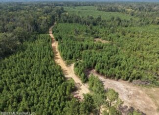 85± Acre Turnkey Hunting Property in Amite County, MS