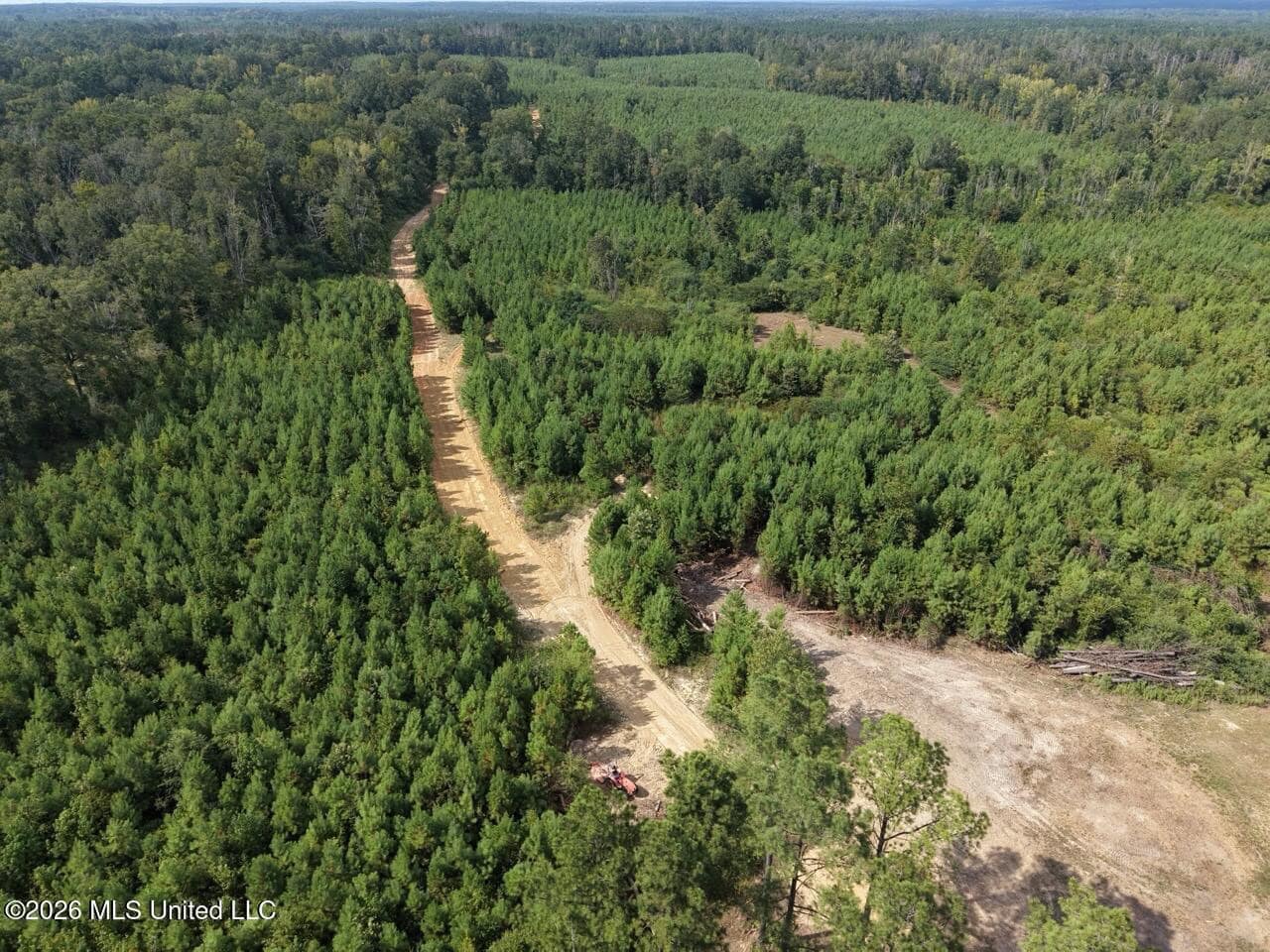 85± Acre Turnkey Hunting Property in Amite County, MS