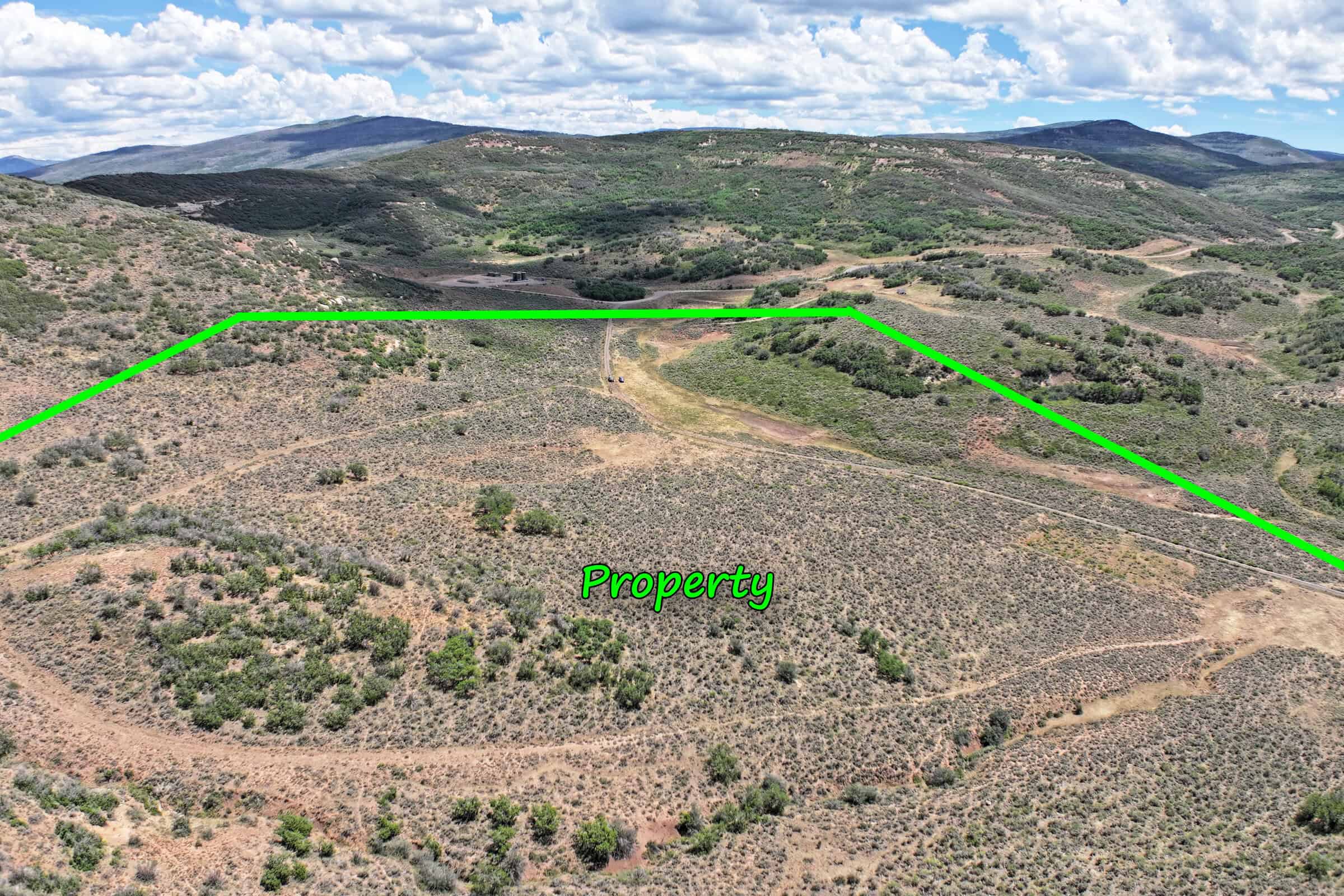 35 Acres Borders Public Land near Collbran, CO