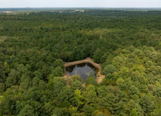 East Texas Hunting & Timber Land for Sale in Smith County