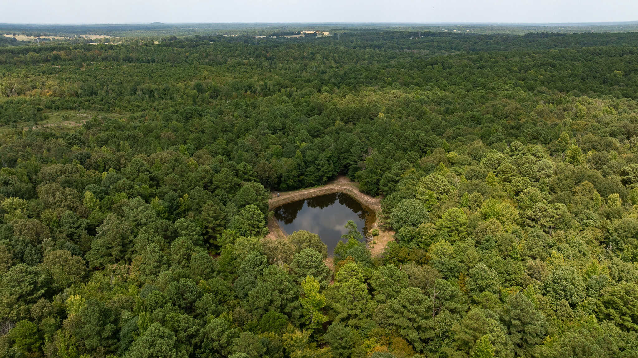East Texas Hunting & Timber Land for Sale in Smith County