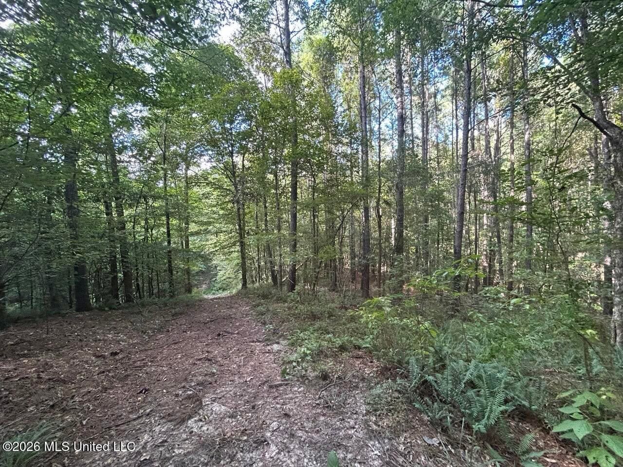 FRANKLIN COUNTY LAND FOR SALE NEAR McCALL CREEK
