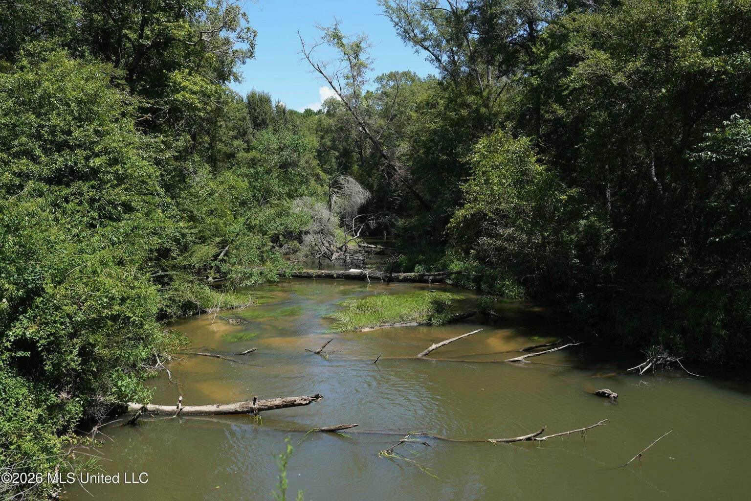 150 Acres for Sale in Magnolia MS on Tangipahoa River