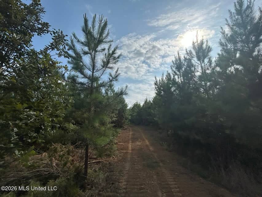 90± Acre Hunting Tract for Sale in Meadville, MS