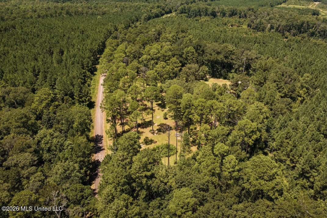20 Acres for Sale Magnolia MS with Barn & Mature Timber