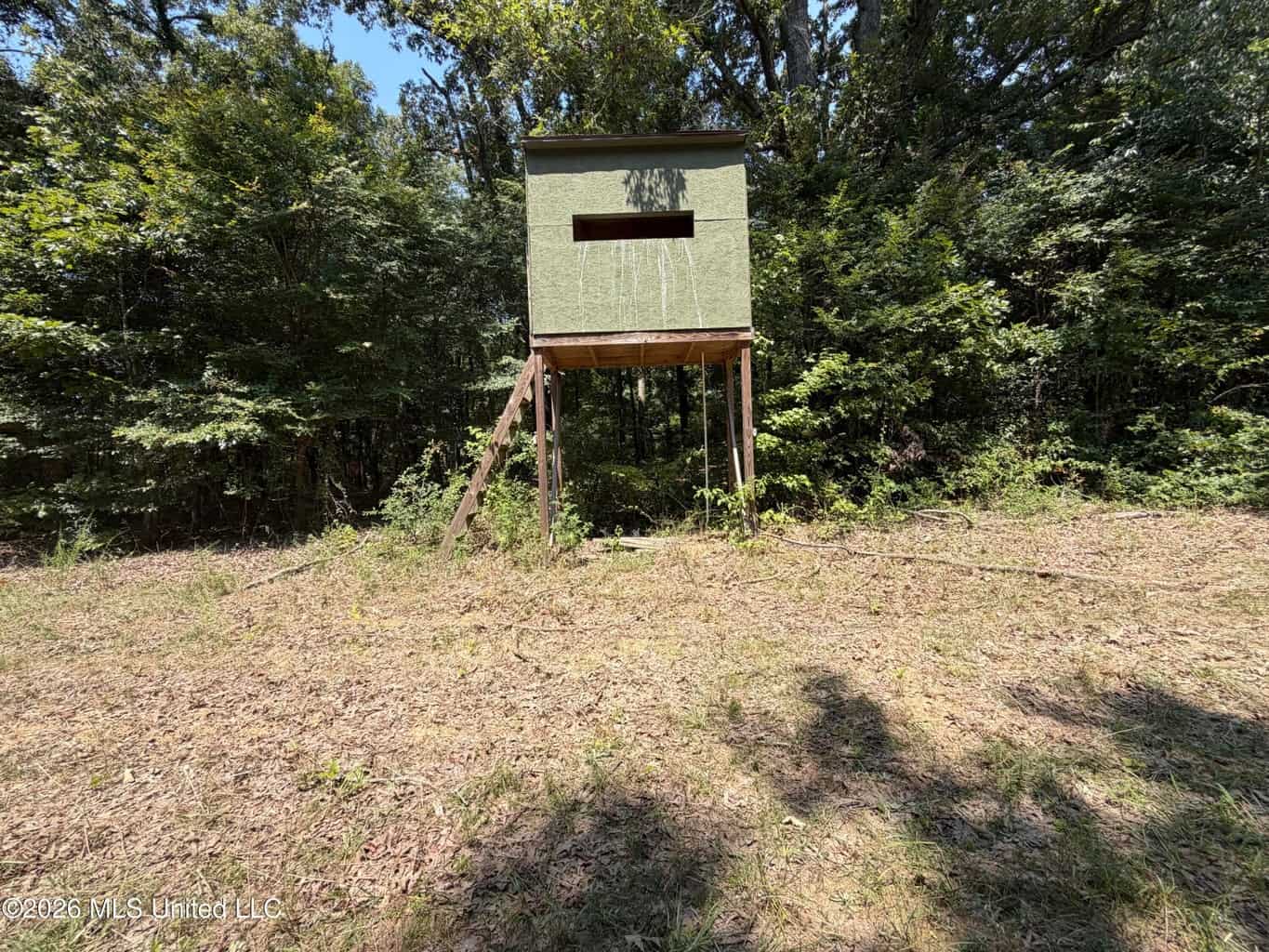 81-Acre Timber Property on 20-Acre Lake in Vaughan, MS