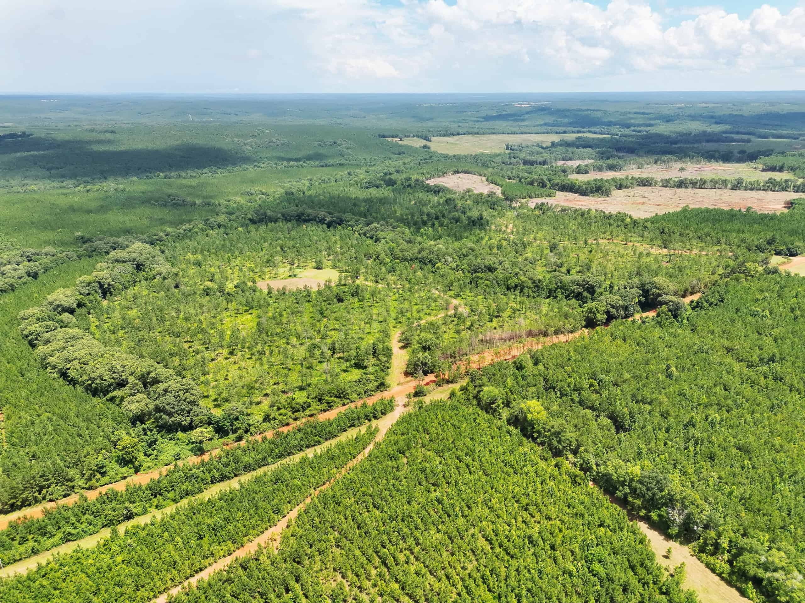 Discover an outstanding 130-acre recreational and hunting property in Stewart Cty