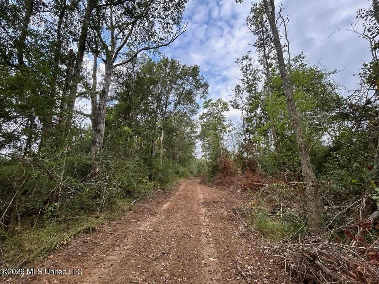 82± Acre Hunting Property in Wilkinson County, MS