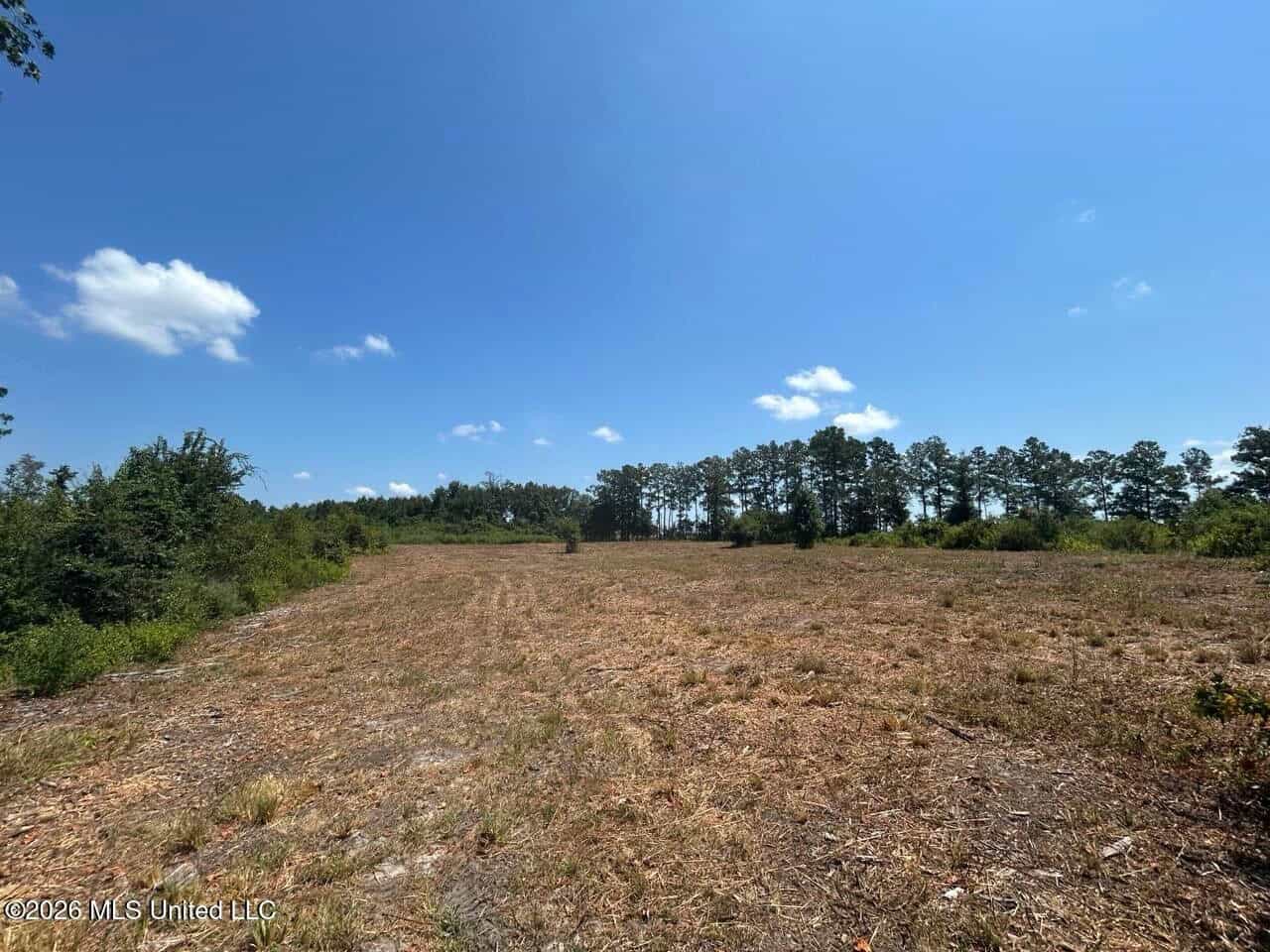 147± Acre Hunting Property in Plainview, LA