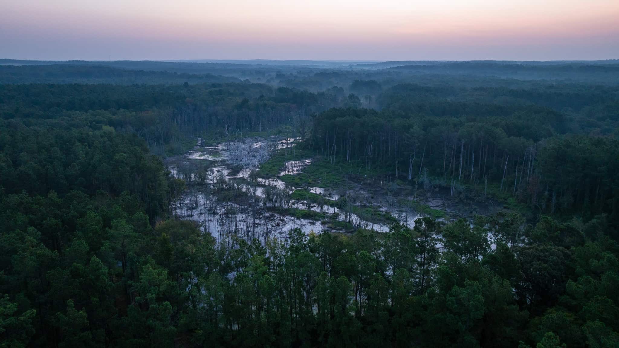East TX Hunting Land for Sale | 327 Acres | River & Duck Slough | Laneville TX