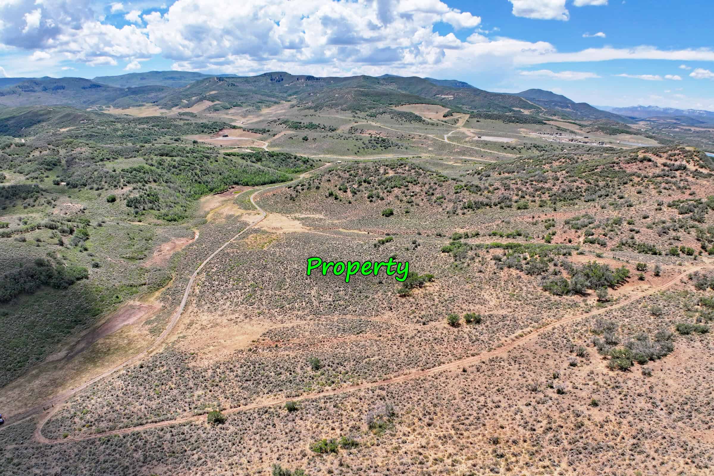 35 Acres Borders Public Land near Collbran, CO