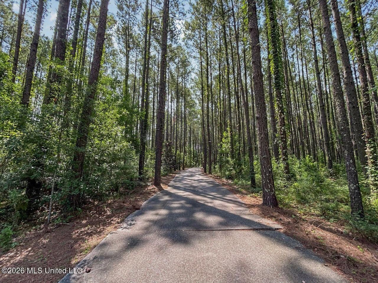 85± Acre Luxury Estate in Poplarville, MS