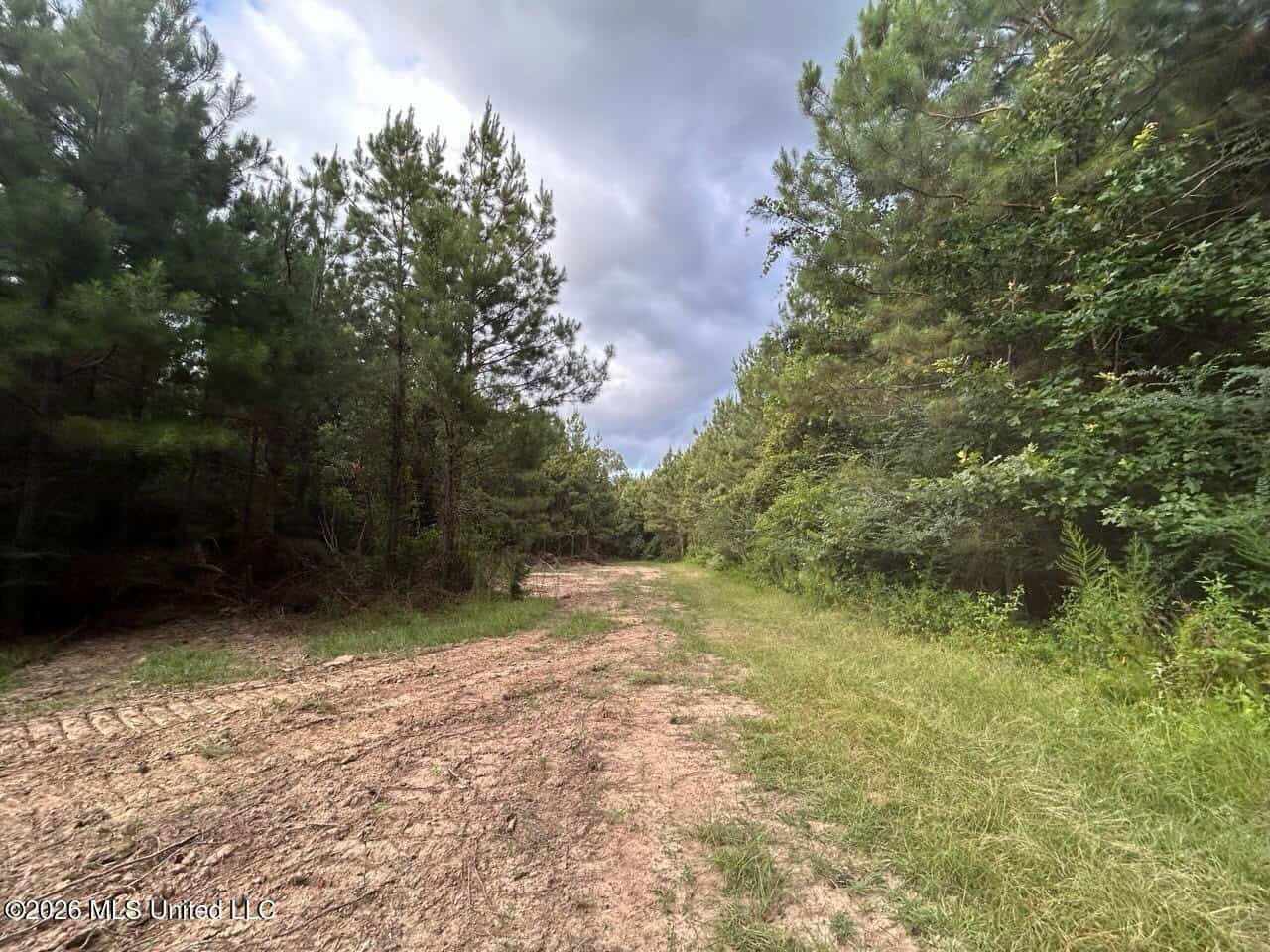 82± Acre Hunting Tract in Meadville, MS