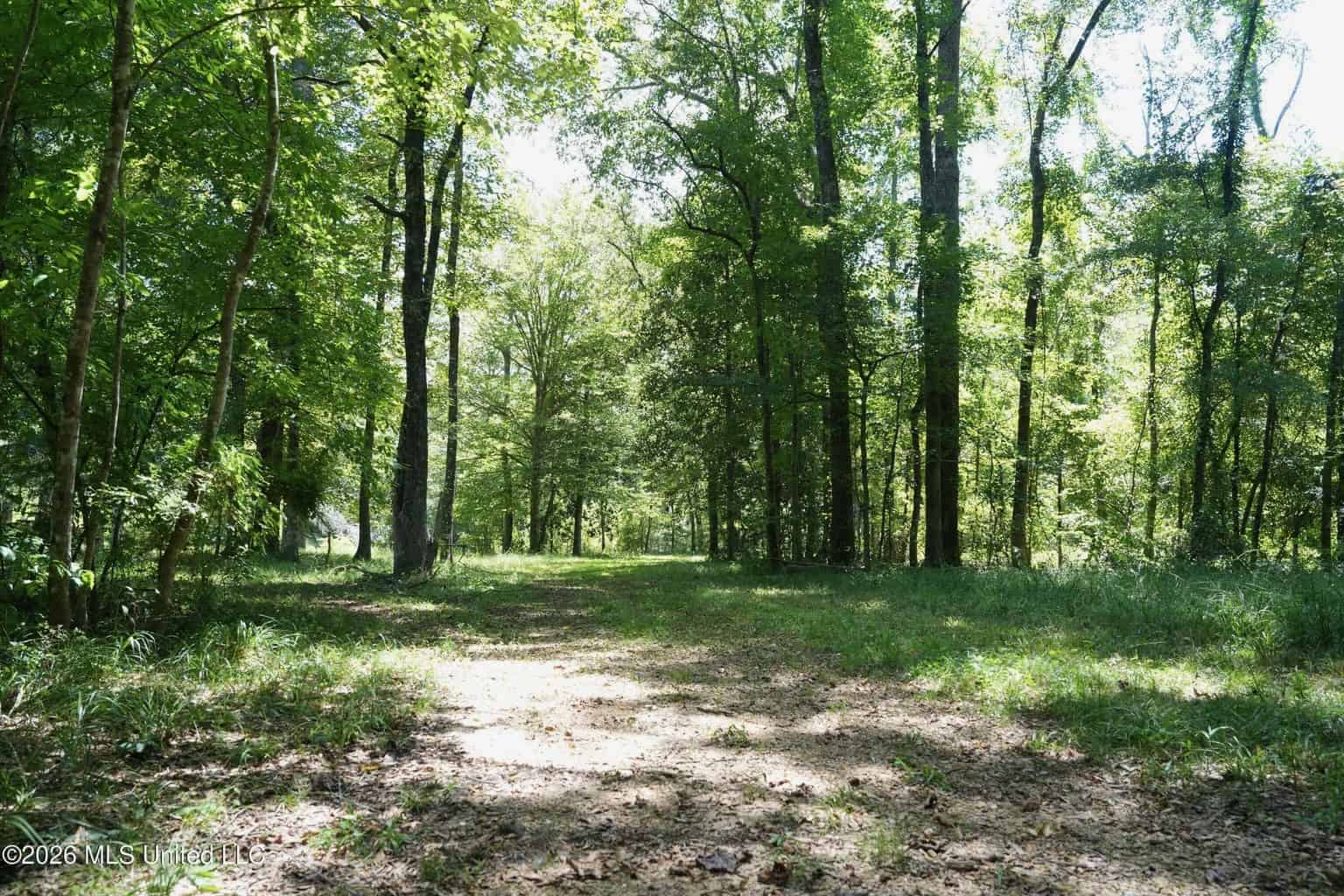 150 Acres for Sale in Magnolia MS on Tangipahoa River