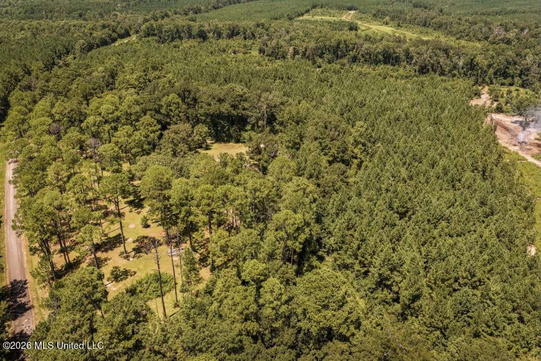 20 Acres for Sale Magnolia MS with Barn & Mature Timber
