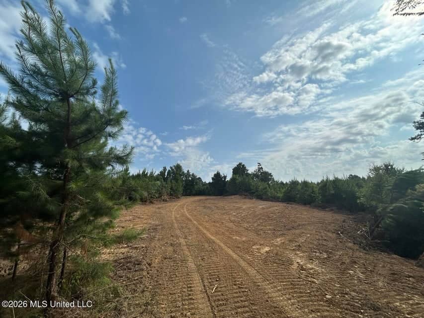 90± Acre Hunting Tract for Sale in Meadville, MS