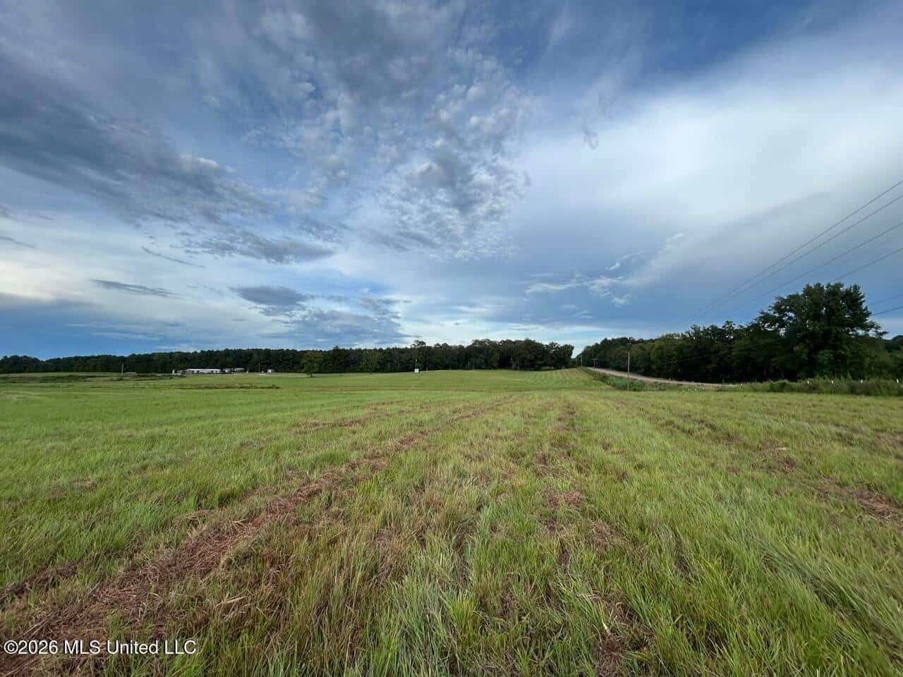 25± Acre Farm & Homesite in Centreville, MS