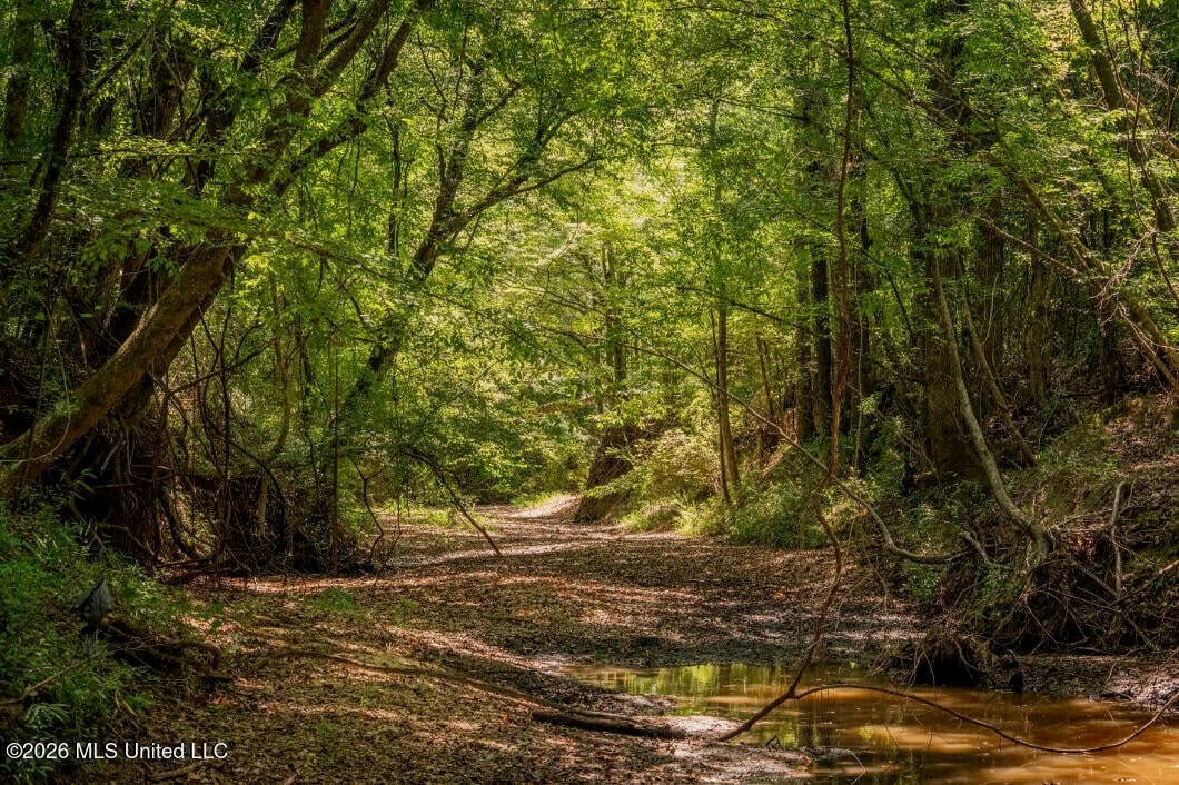 52.25± Acres in Copiah County, MS Near Hazlehurst