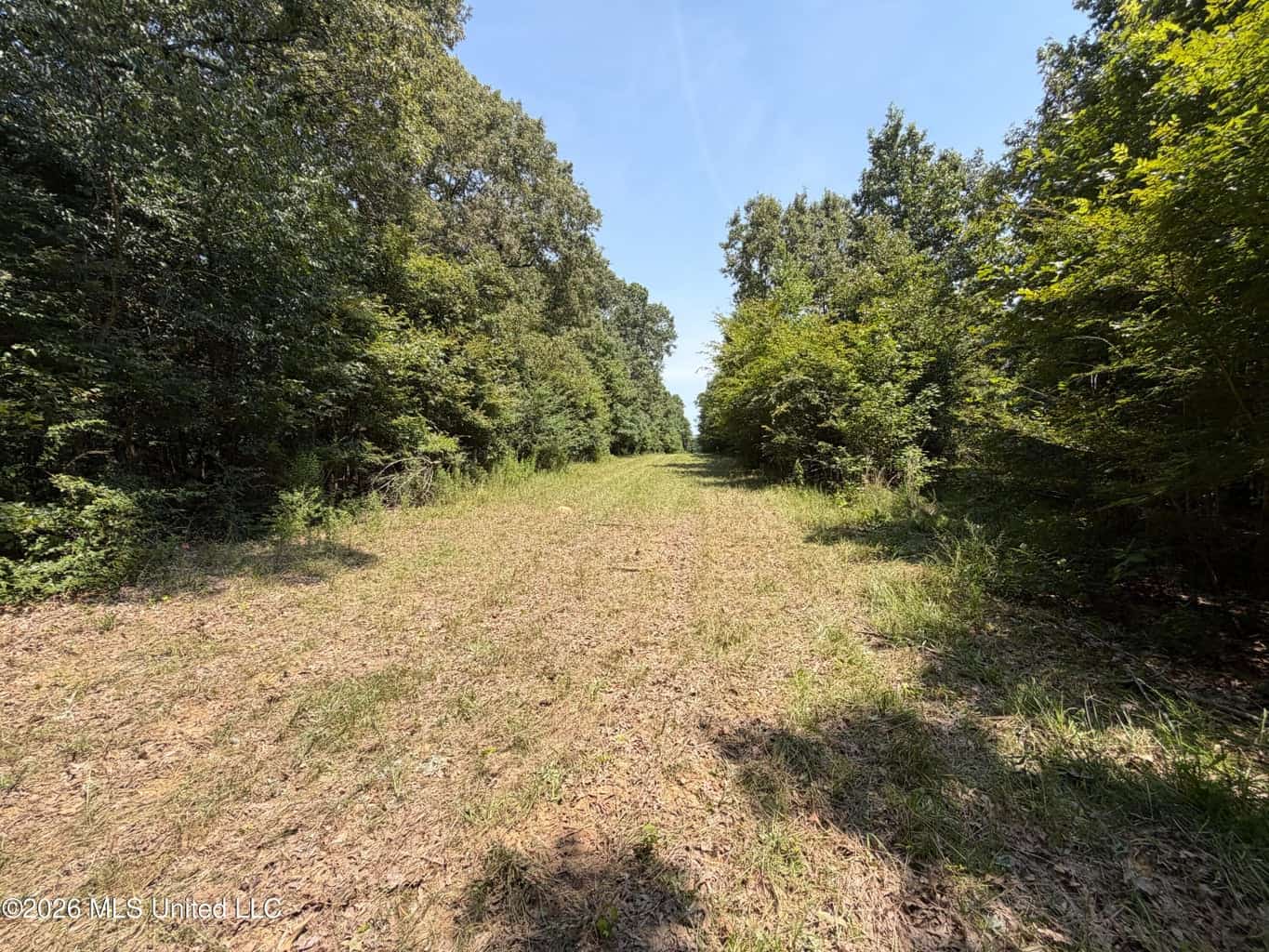 81-Acre Timber Property on 20-Acre Lake in Vaughan, MS
