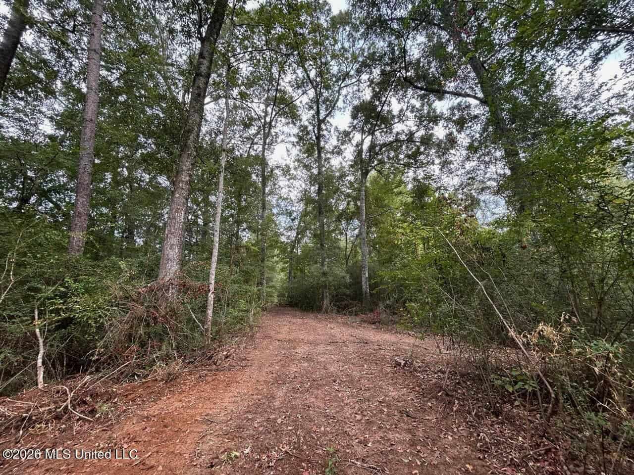 82± Acre Hunting Property in Wilkinson County, MS