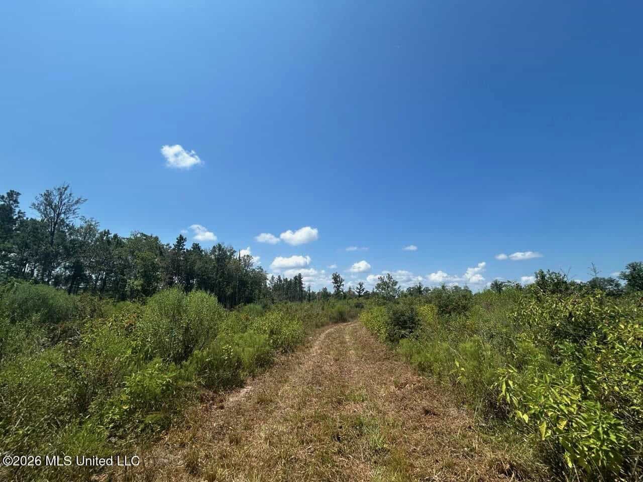 147± Acre Hunting Property in Plainview, LA