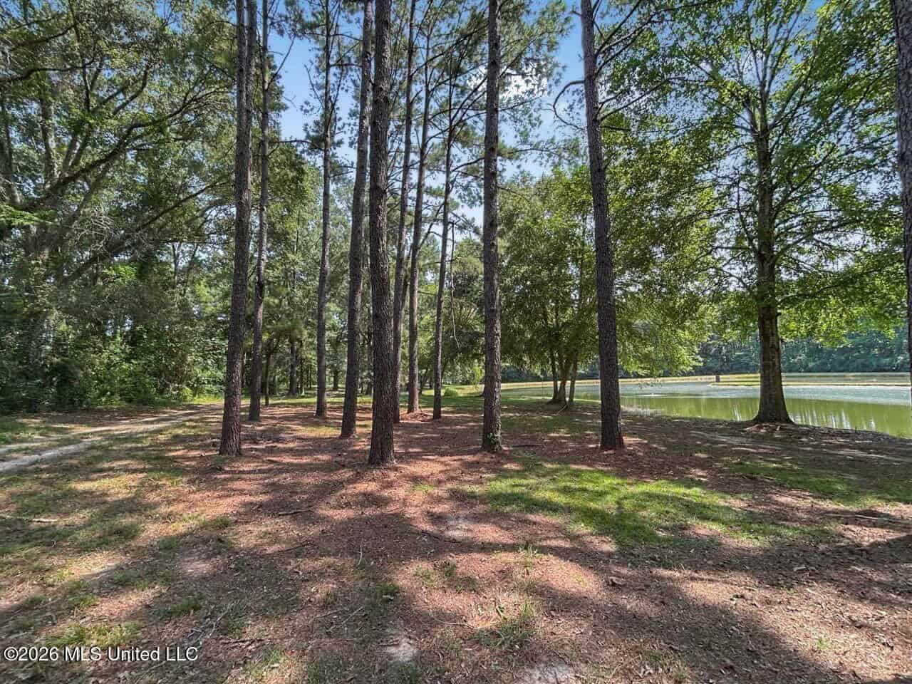 85± Acre Luxury Estate in Poplarville, MS
