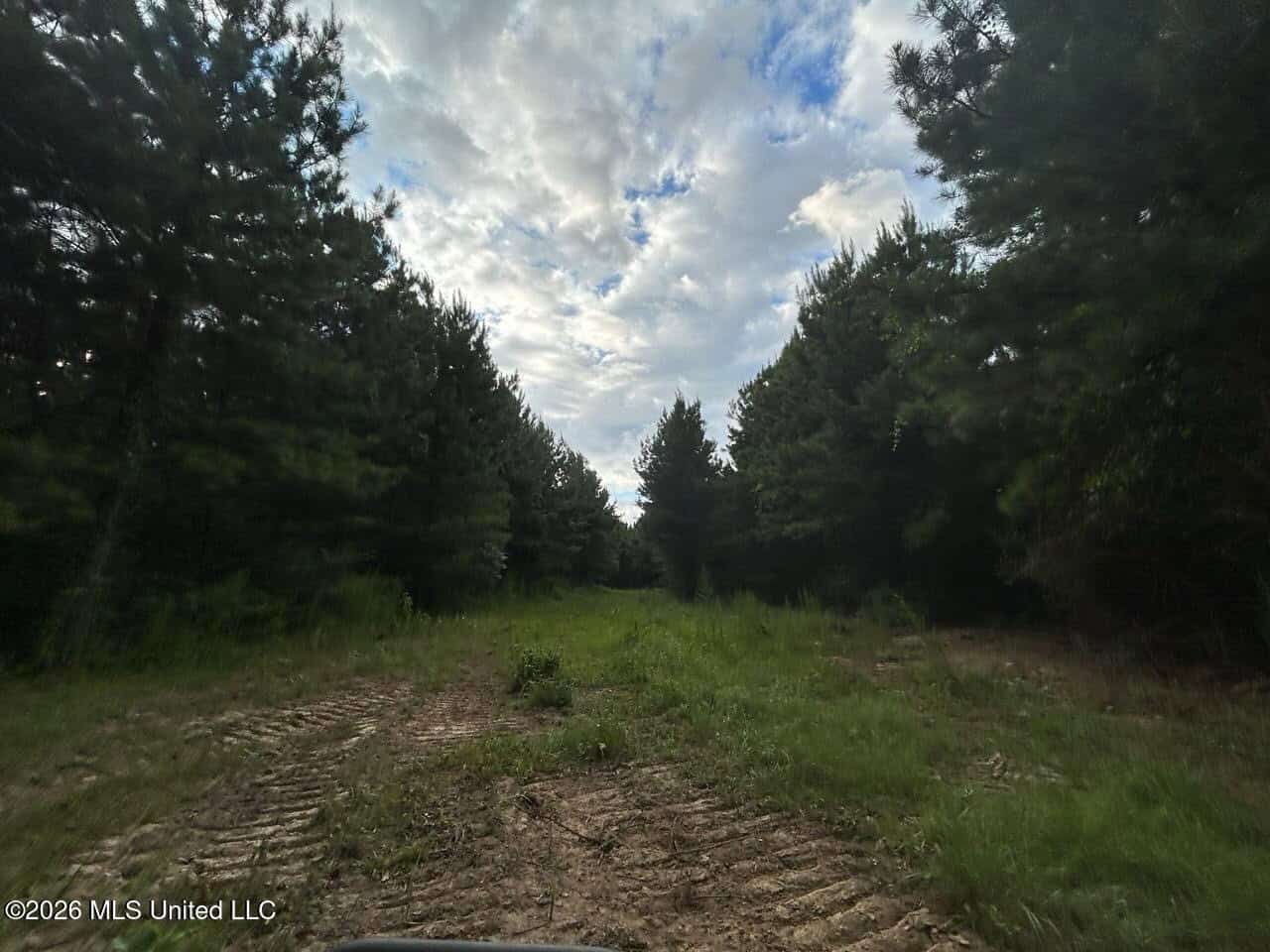 82± Acre Hunting Tract in Meadville, MS