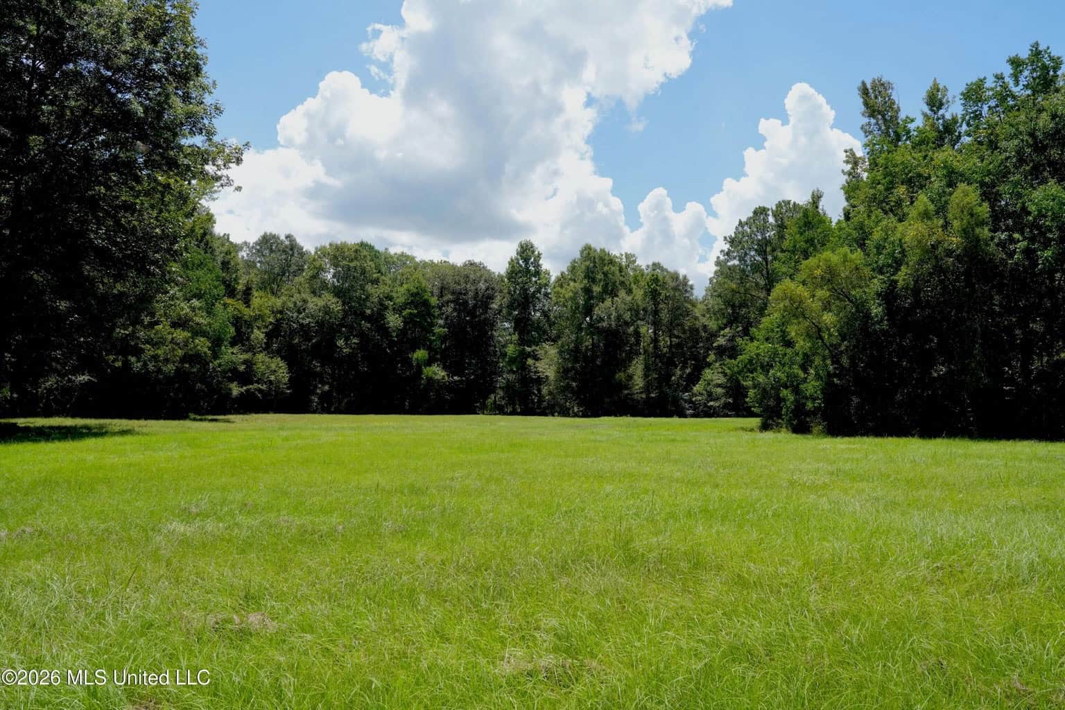 150 Acres for Sale in Magnolia MS on Tangipahoa River