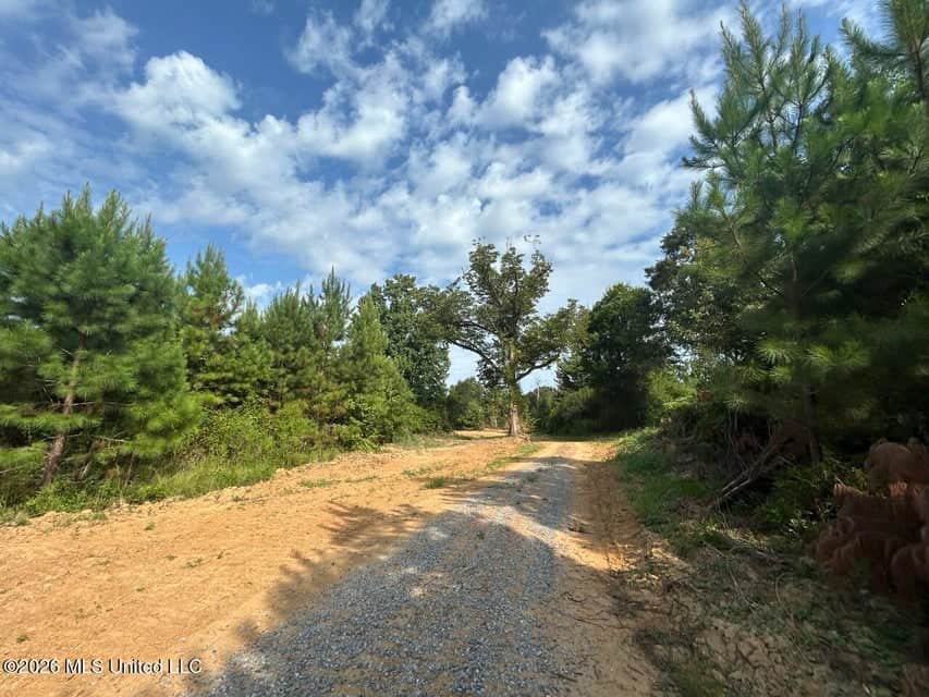 90± Acre Hunting Tract for Sale in Meadville, MS