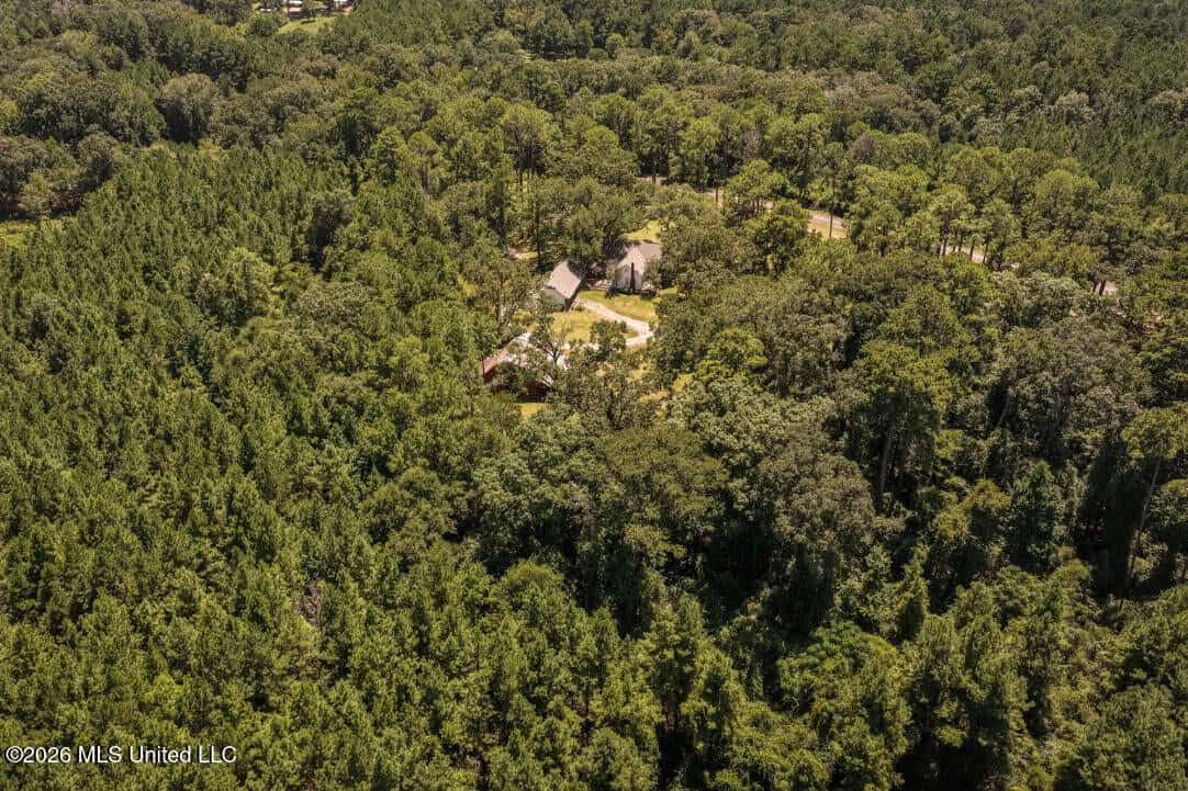 20 Acres for Sale Magnolia MS with Barn & Mature Timber