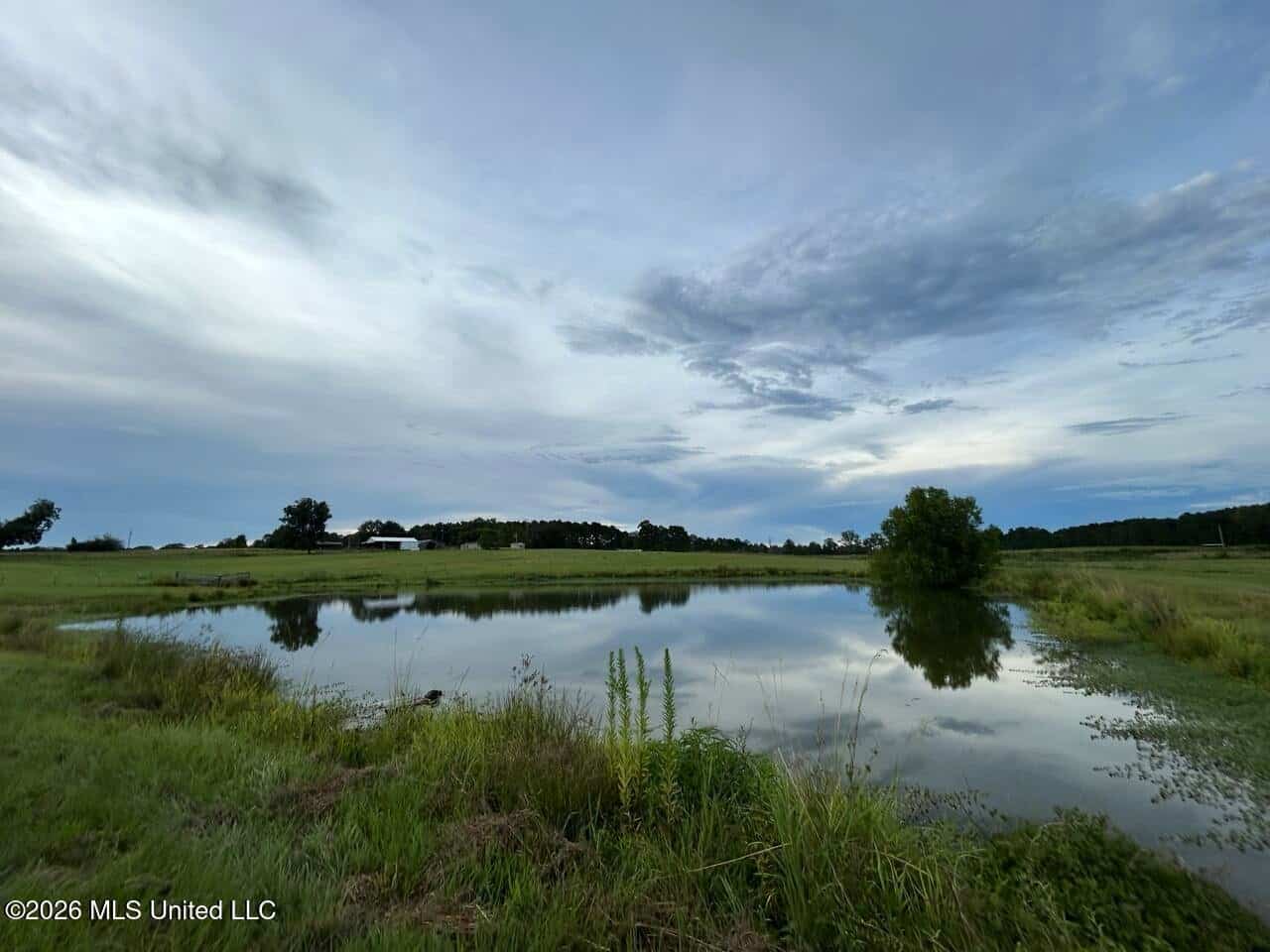 25± Acre Farm & Homesite in Centreville, MS