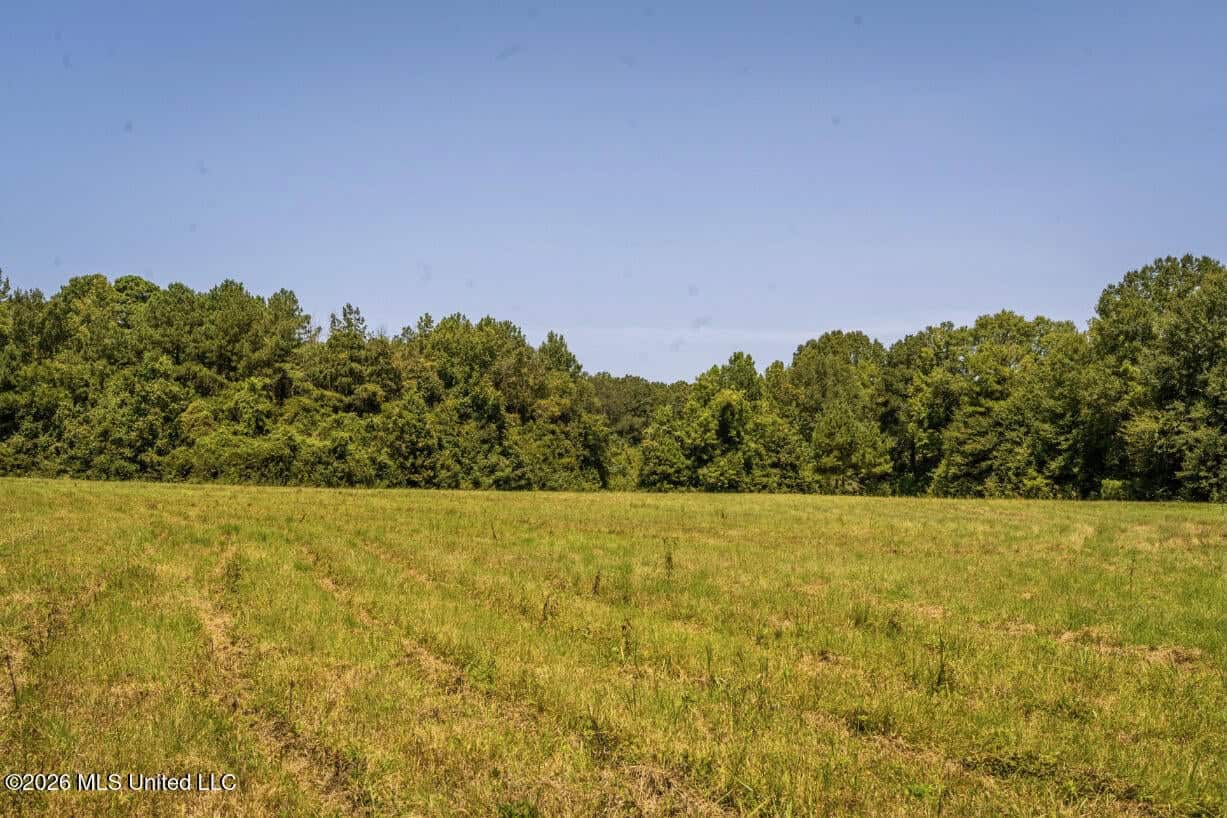 52.25± Acres in Copiah County, MS Near Hazlehurst
