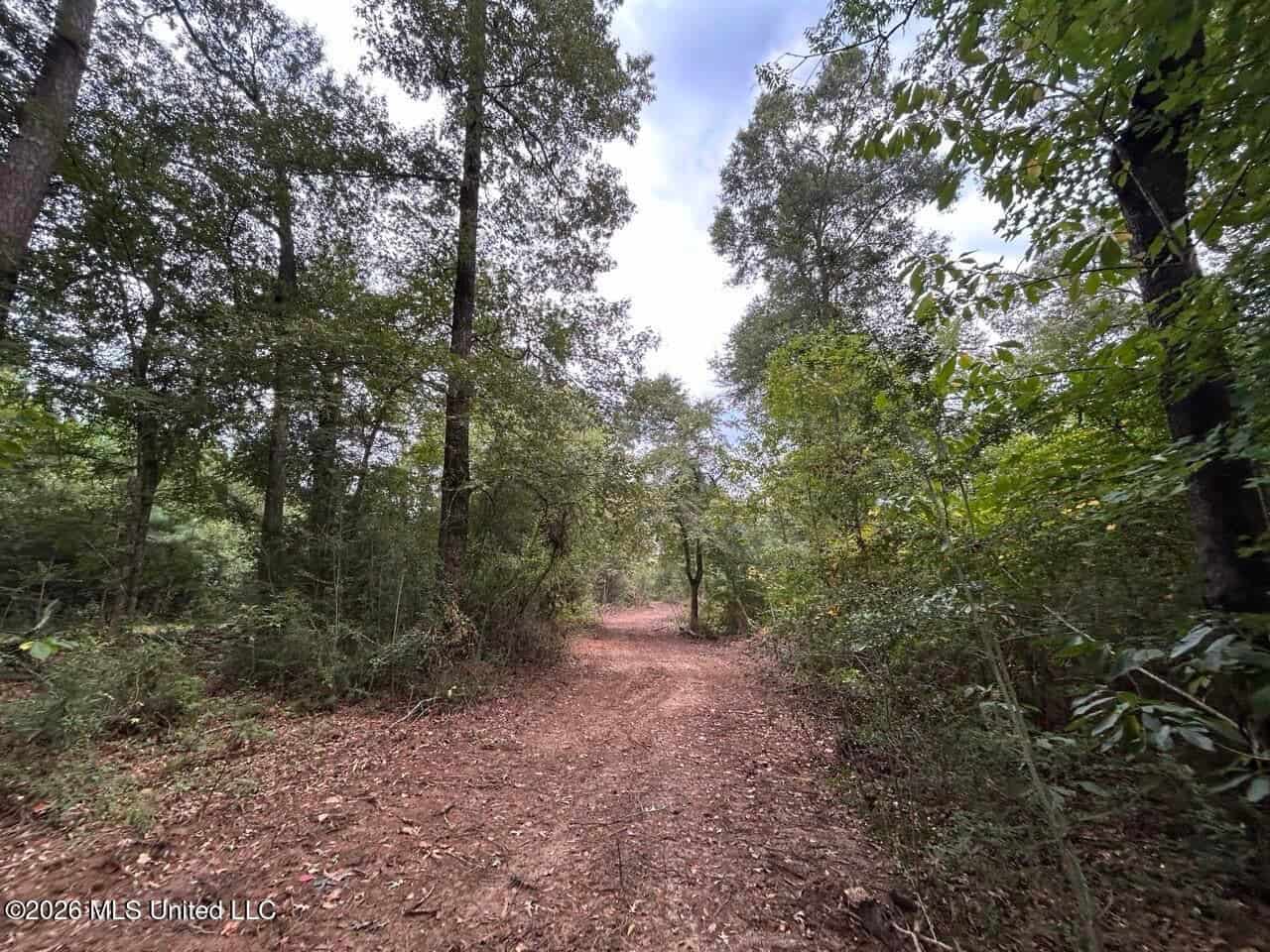 82± Acre Hunting Property in Wilkinson County, MS