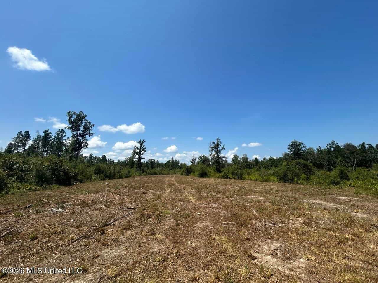 147± Acre Hunting Property in Plainview, LA