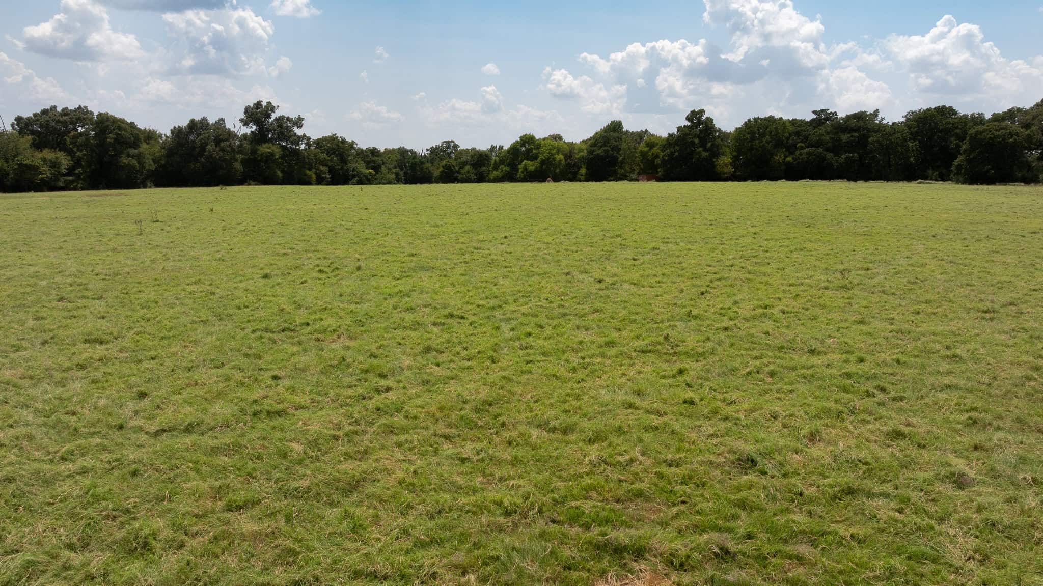 East Texas Recreational Ranch near Bullard TX 47 ± Acres