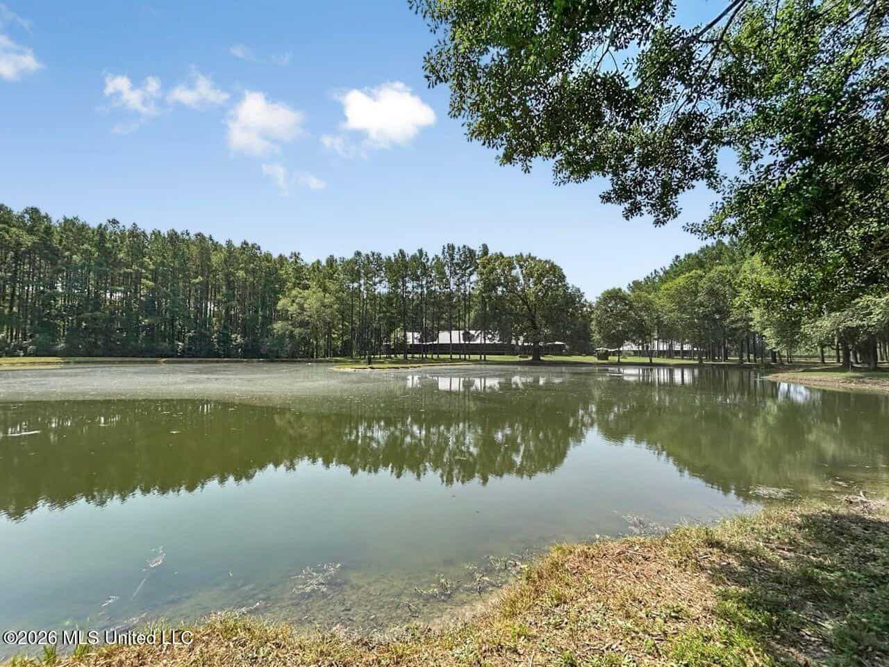 85± Acre Luxury Estate in Poplarville, MS