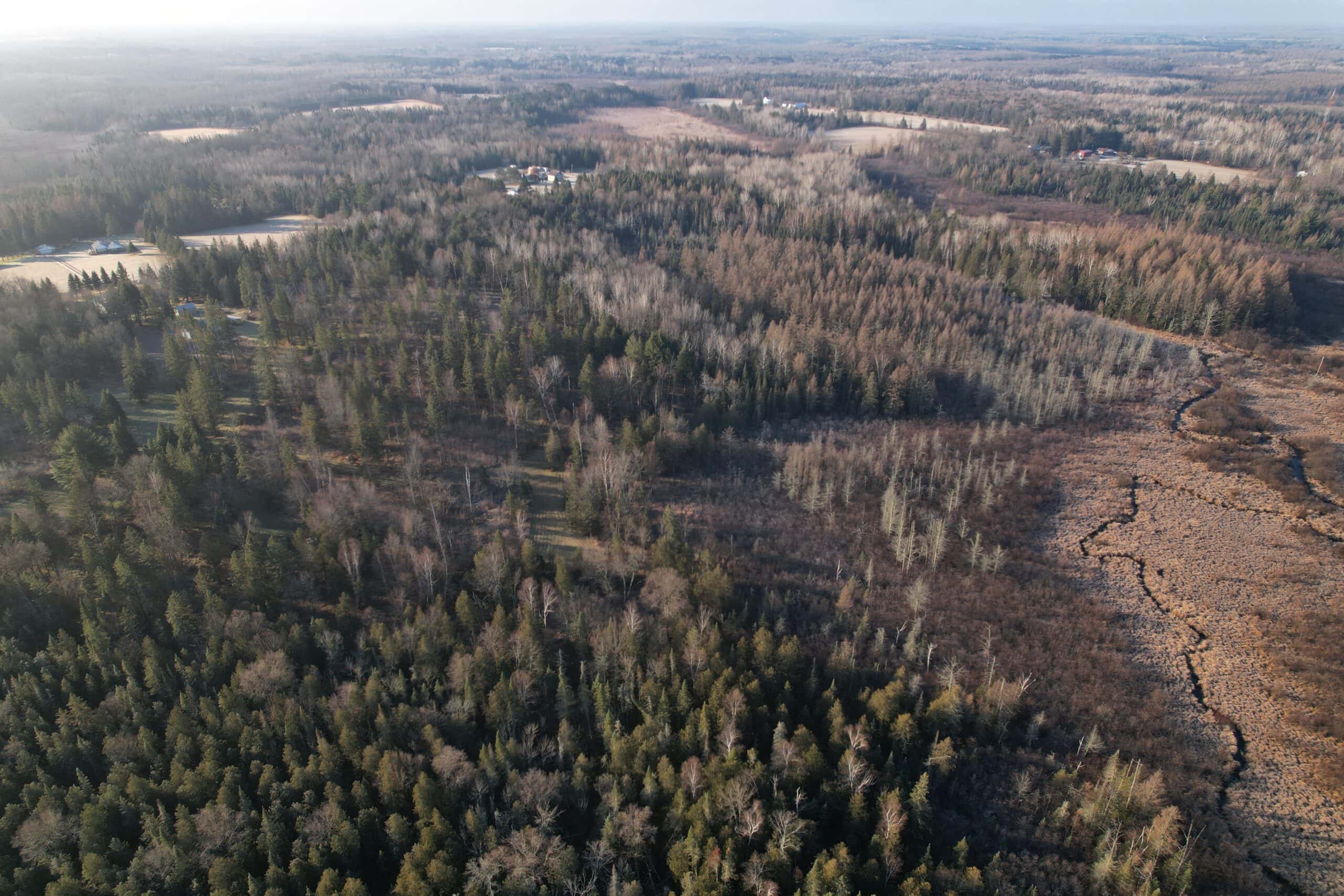 80± Acre Hunting Retreat for Sale in Butternut, WI