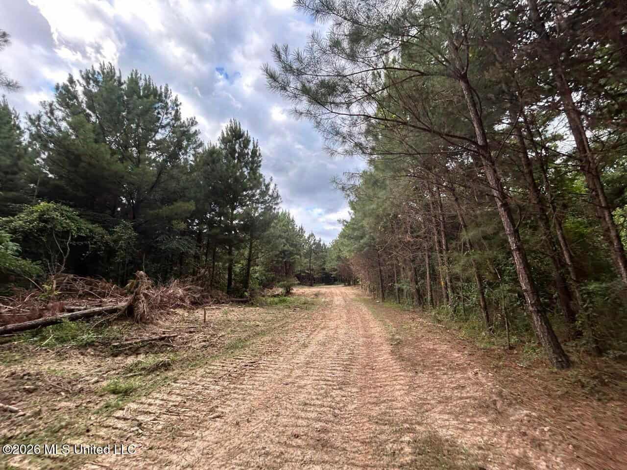 82± Acre Hunting Tract in Meadville, MS