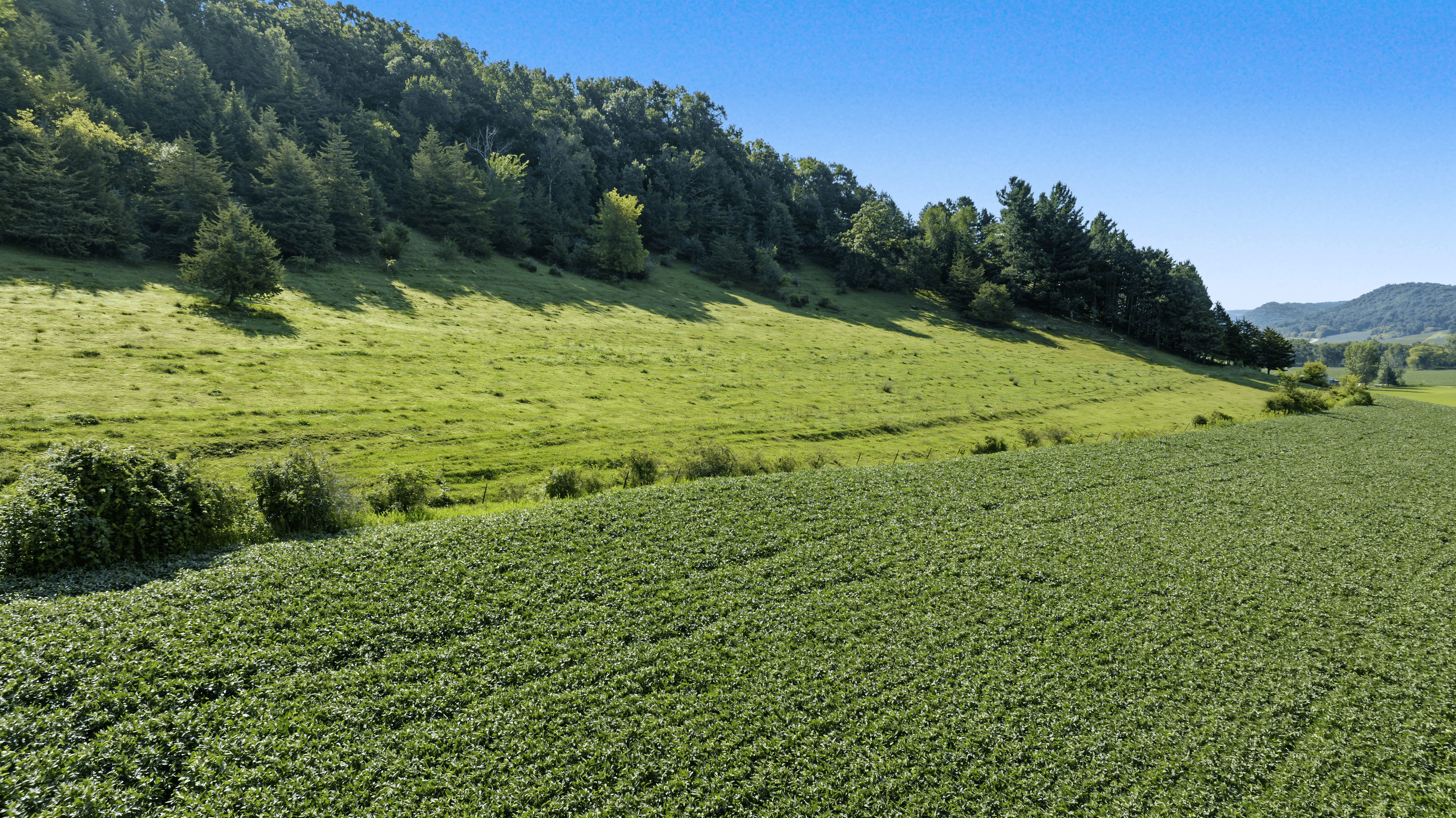 76-ACRE DRIFTLESS AREA FARM & COUNTRY ESTATE LA CROSSE COUNTY, WISCONSIN