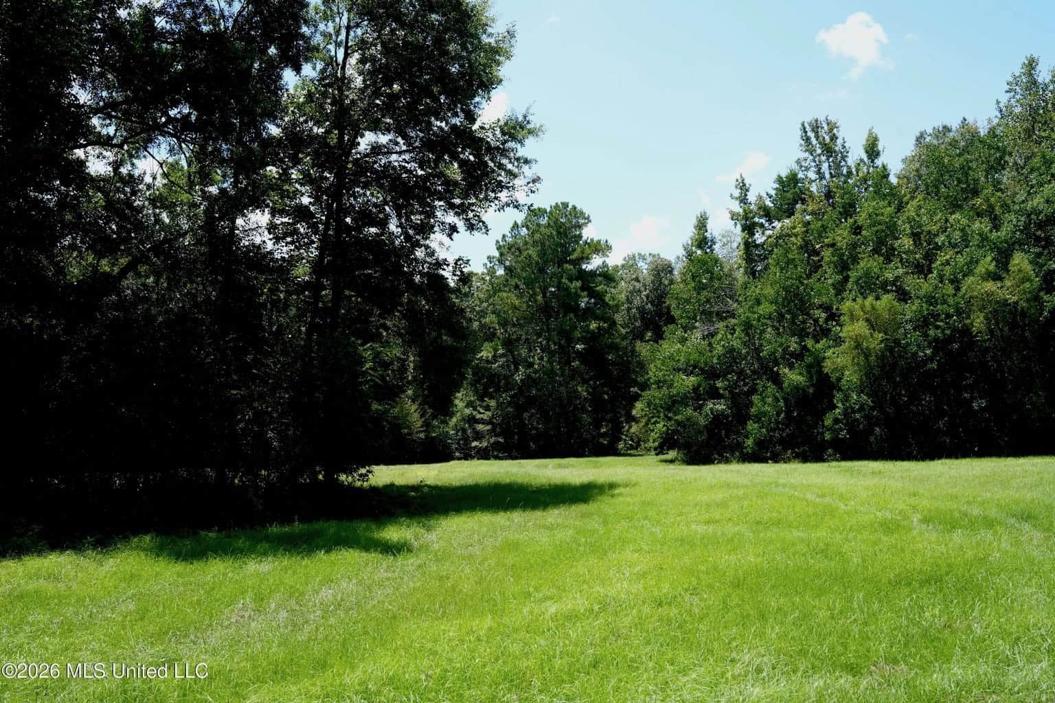 150 Acres for Sale in Magnolia MS on Tangipahoa River